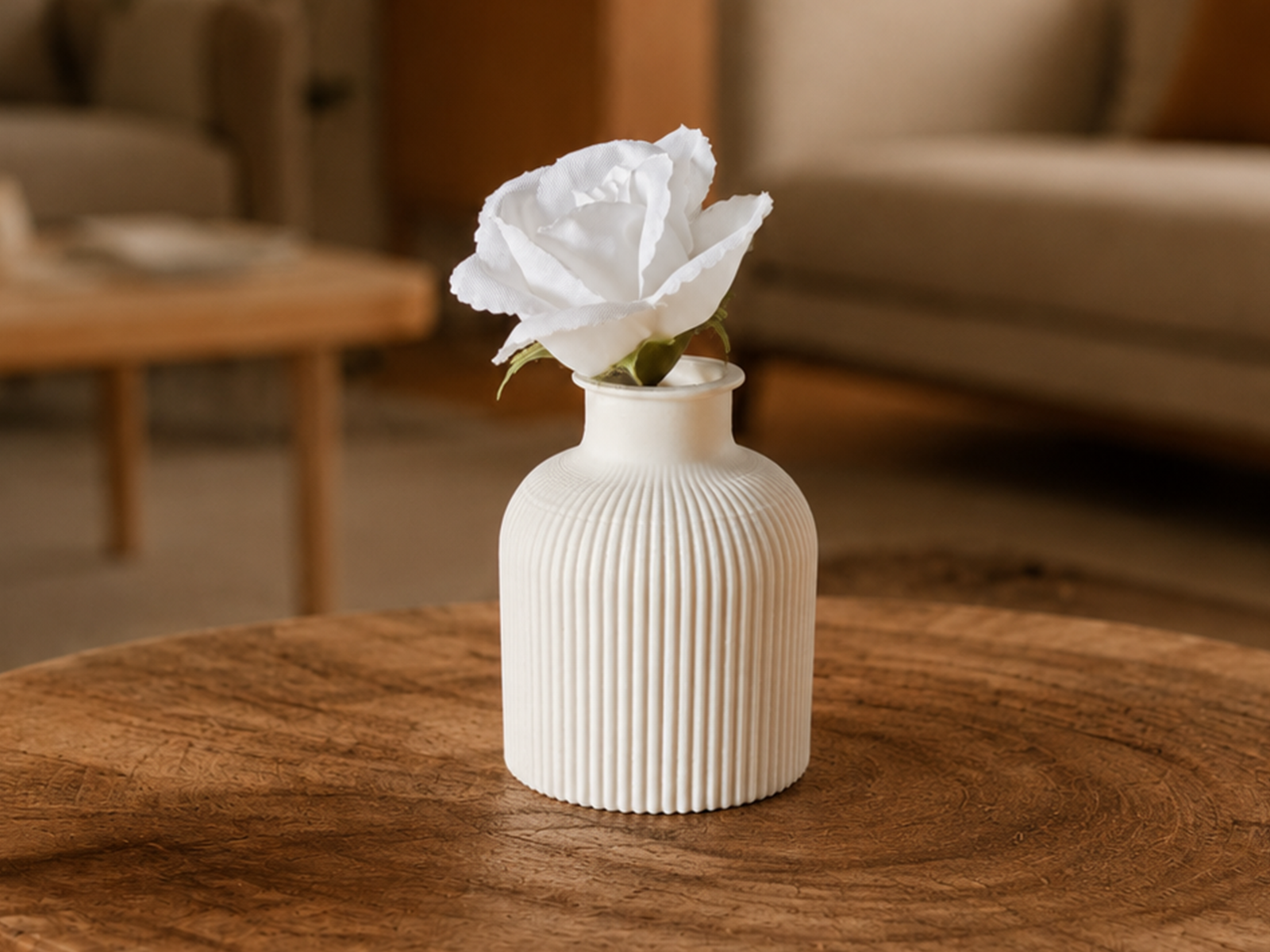 Pequeño Set de Decoración - Imagen 2