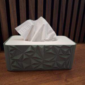 Caja de Pañuelos Moderna